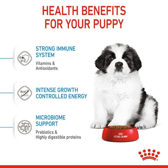 Royal Canin Giant Puppy – Hrană Uscată pentru Pui de Câine de Talie Gigantă – 1 kg